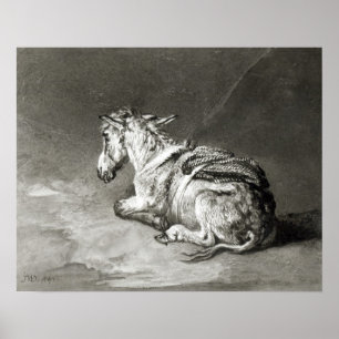 Donkey at Rest Poster