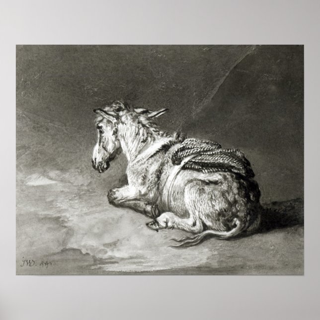 Donkey at Rest Poster (Front)