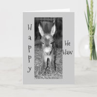 DONKEY BABY SAYS HAPPY "HE HAW" BIRTHDAY TO YOU