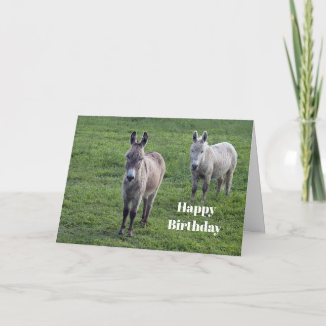 Donkey Brown Tan Animal Photo Birthday Card (Front)