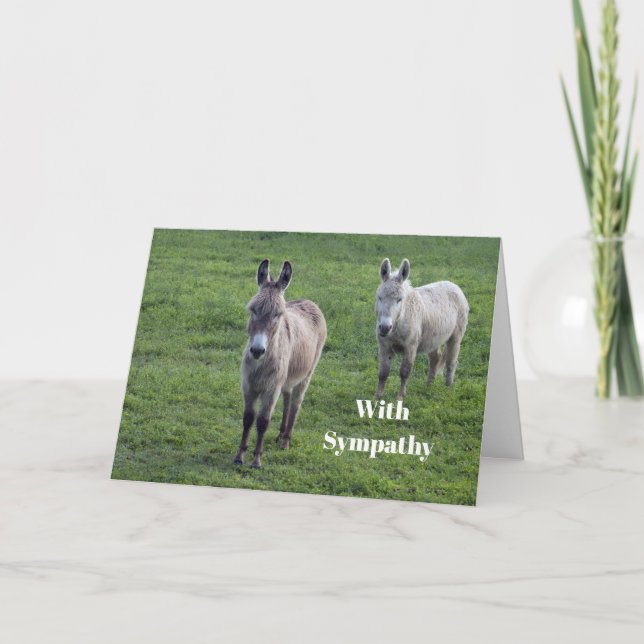 Donkey Brown Tan Animal Photo Sympathy Card (Front)
