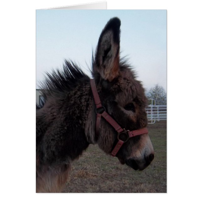 Donkey Card - Customise it! (Front)