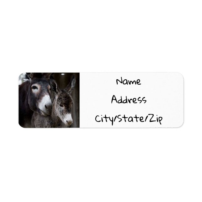 ***DONKEY COUPLE*** RETURN ADDRESS LABEL (Front)