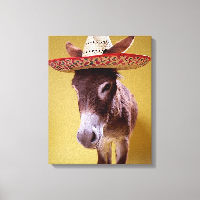 Donkey (Equus hemonius) wearing straw hat Canvas Print (Front)