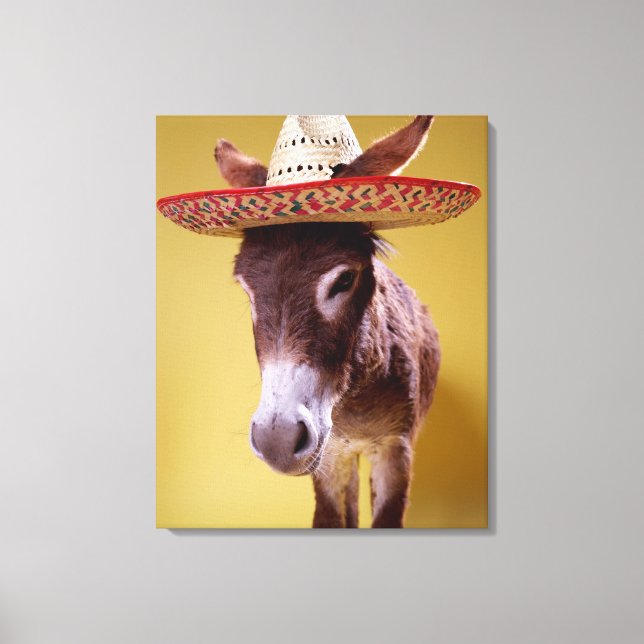 Donkey (Equus hemonius) wearing straw hat Canvas Print (Front)