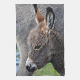 Donkey foal tea towel