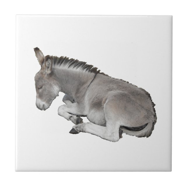 Donkey Foal Tile (Front)