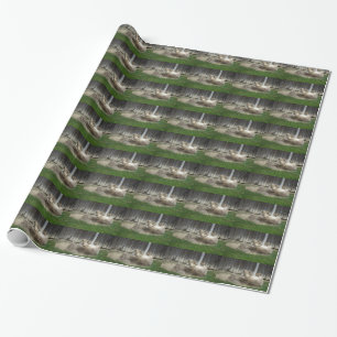 Donkey Having A Bath Wrapping Paper