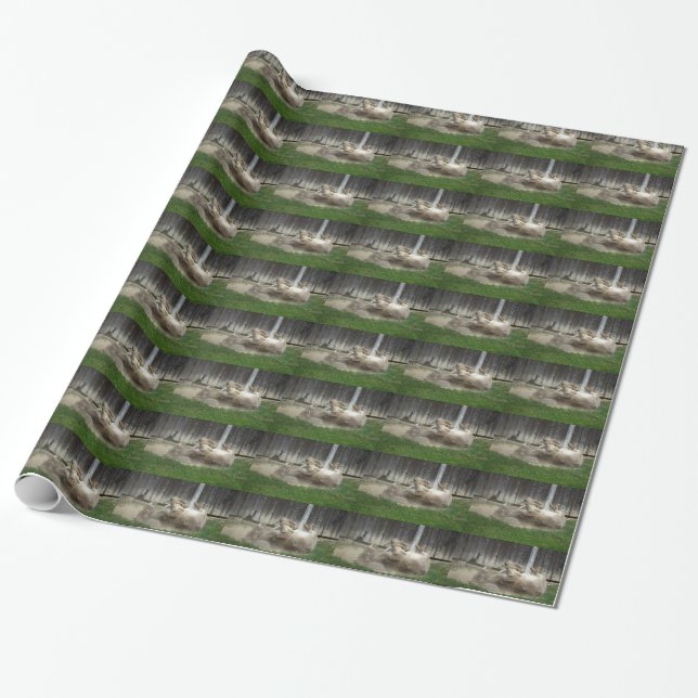 Donkey Having A Bath Wrapping Paper (Unrolled)
