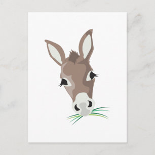 Donkey Head Postcard