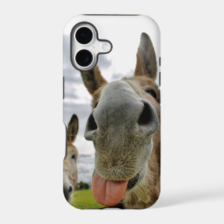 Donkey Humor