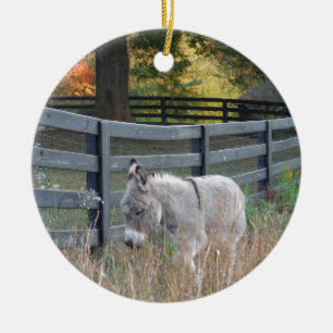 Donkey in an Autumn Field Ceramic Tree Decoration