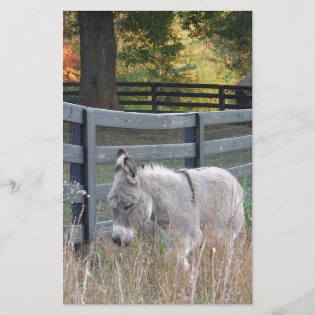 Donkey in an Autumn Field Stationery (Front)