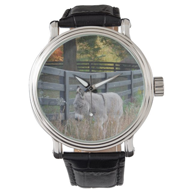 Donkey in an Autumn Field Watch (Front)