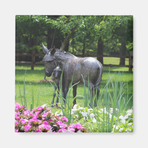 Donkey in Garden magnet