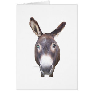 Donkey In Your Face