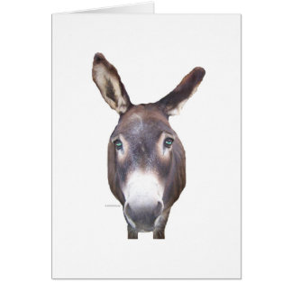 Donkey In Your Face