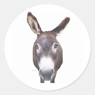 Donkey In Your Face Classic Round Sticker