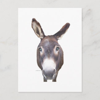 Donkey In Your Face Postcard