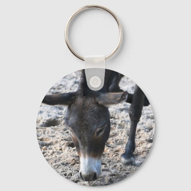 Donkey Keychain (Front)