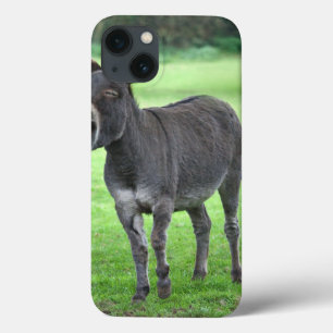 Donkey Laugh iPad Mini Case
