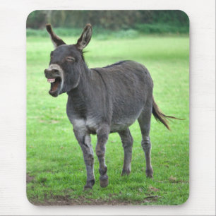 Donkey Laugh Mousemat