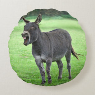 Donkey Laugh Pillow