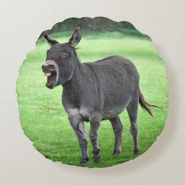 Donkey Laugh Pillow (Front)