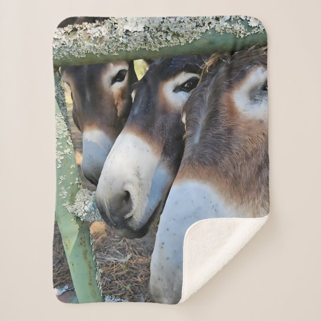 Donkey Love Sherpa Blanket (Front)