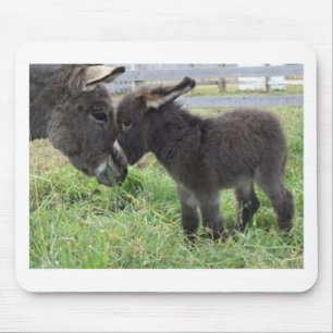 donkey mouse pad