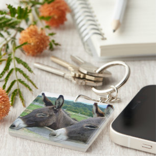 Donkey Mule Farm Animal Country Destiny Key Ring