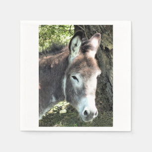 DONKEY NAPKIN