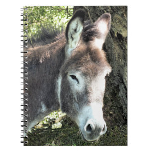 DONKEY  NOTEBOOK