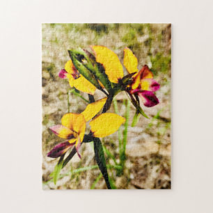 Donkey Orchid Jigsaw Puzzle