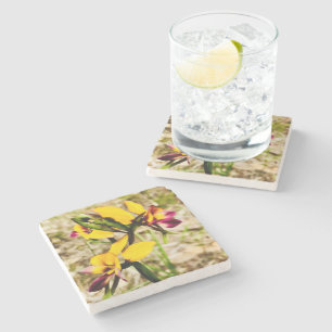 Donkey Orchids Stone Coaster