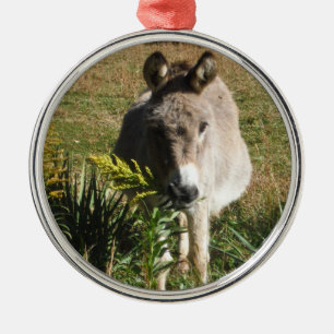 Donkey Picking Yellow Autumn Wildflowers Metal Tree Decoration