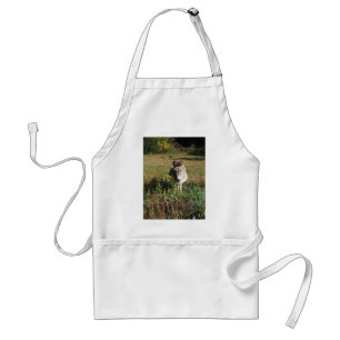 Donkey Picking Yellow Autumn Wildflowers Standard Apron