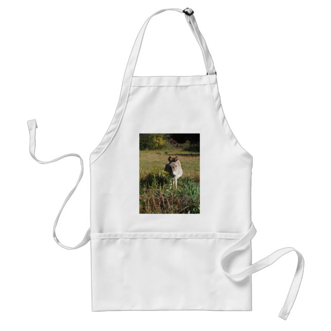 Donkey Picking Yellow Autumn Wildflowers Standard Apron (Front)