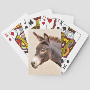 Donkey Playing Cards