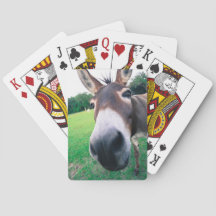 Donkey