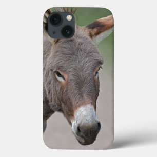 Donkey Portrait iPad Case