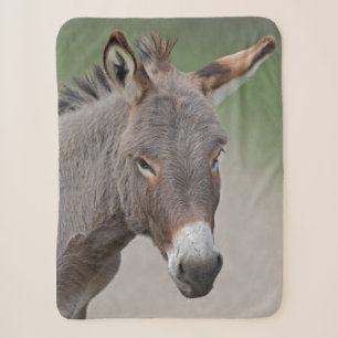 Donkey Portrait Sherpa Blanket
