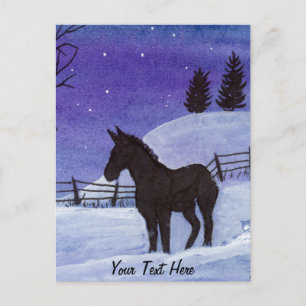 Donkey Postcard