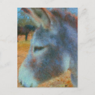 donkey postcard