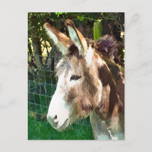 DONKEY POSTCARD (Front)