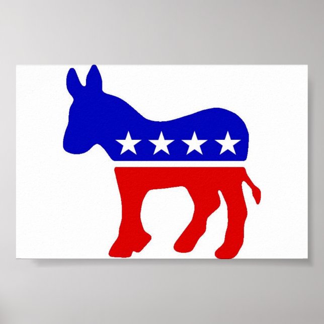 Donkey Poster (Front)