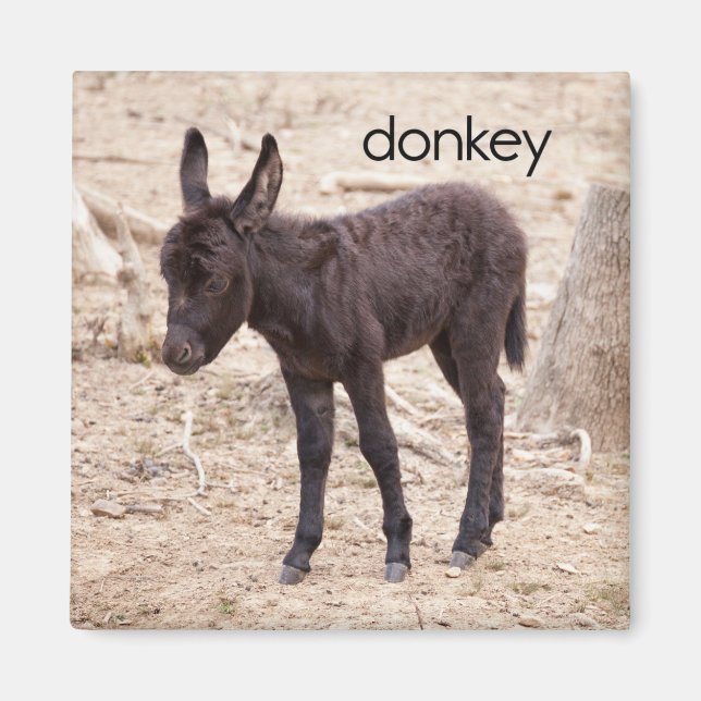 Donkey Refrigerator Magnet (Front)