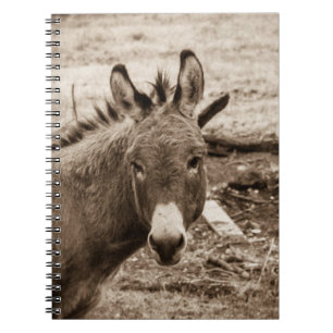 Donkey Spiral Notebook
