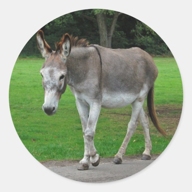Donkey stickers (Front)