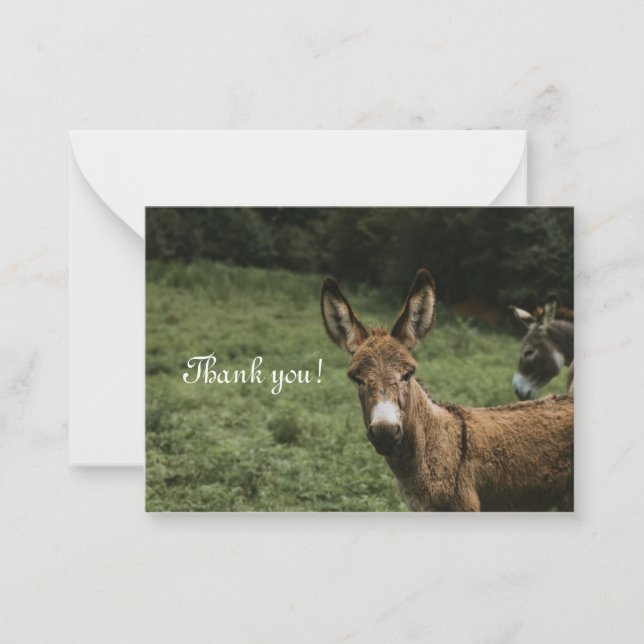 Donkey Thank You Card (Front)